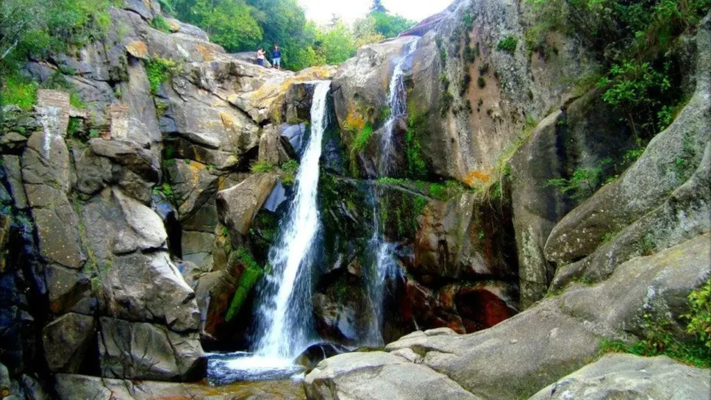 SEOCA Tanti Cordoba